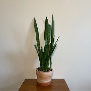 Welcome to Re-Curated!